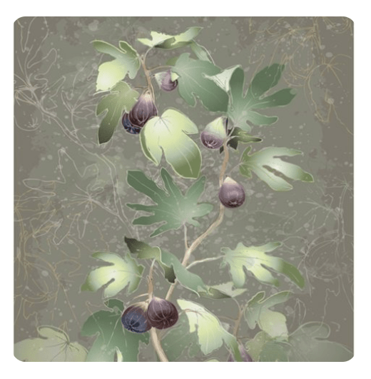 u1408-fig-tree-drawing-stock-illustrations-royalty-free-fig-tree-vectors-download-on-depositphotosu00ae-2020-08-18-14-48-51-1